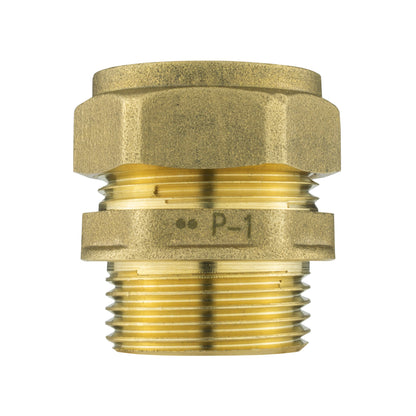Brass Compression 22mm Straight with 25mm MDPE Straight