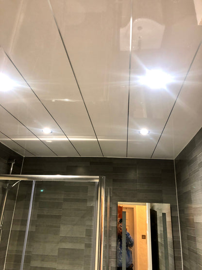CEILING PANELS