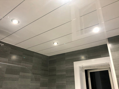 CEILING PANELS