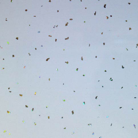 SPARKLE WETWALL