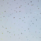 SPARKLE WETWALL